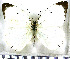  ( - JFDA5725)  @11 [ ] copyright (2025) Center For Collection-Based Research Center For Collection-Based Research