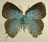  ( - RCB01540)  @11 [ ] by-nc-sa (2024) Robert C. Busby Robert C. Busby