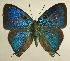  ( - RCB01543)  @11 [ ] by-nc-sa (2024) Robert C. Busby Robert C. Busby