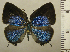  ( - RCB01588)  @11 [ ] by-nc-sa (2025) Robert C. Busby Robert C. Busby