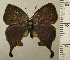  ( - RCB02672)  @11 [ ] by-nc-sa (2024) Robert C. Busby Robert C. Busby