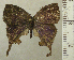  ( - RCB02673)  @11 [ ] by-nc-sa (2024) Robert C. Busby Robert C. Busby
