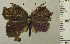 ( - RCB02674)  @11 [ ] by-nc-sa (2024) Robert C. Busby Robert C. Busby