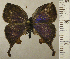 ( - RCB02677)  @11 [ ] by-nc-sa (2024) Robert C. Busby Robert C. Busby