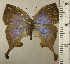  ( - RCB02678)  @11 [ ] by-nc-sa (2024) Robert C. Busby Robert C. Busby