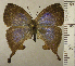 ( - RCB02679)  @11 [ ] by-nc-sa (2024) Robert C. Busby Robert C. Busby