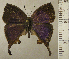  ( - RCB02680)  @11 [ ] by-nc-sa (2024) Robert C. Busby Robert C. Busby