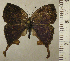  ( - RCB02681)  @11 [ ] by-nc-sa (2024) Robert C. Busby Robert C. Busby