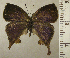  ( - RCB02682)  @11 [ ] by-nc-sa (2024) Robert C. Busby Robert C. Busby
