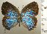  ( - RCB03242)  @11 [ ] by-nc-sa (2025) Robert C. Busby Robert C. Busby