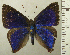  ( - RCB04420)  @11 [ ] by-nc-sa (2025) Robert C. Busby Robert C. Busby