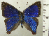  ( - RCB04423)  @11 [ ] by-nc-sa (2025) Robert C. Busby Robert C. Busby