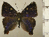  ( - RCB04517)  @11 [ ] by-nc-sa (2025) Robert C. Busby Robert C. Busby