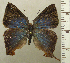 ( - RCB04520)  @11 [ ] by-nc-sa (2025) Robert C. Busby Robert C. Busby