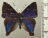  ( - RCB04530)  @11 [ ] by-nc-sa (2025) Robert C. Busby Robert C. Busby