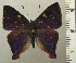  ( - RCB04554)  @11 [ ] by-nc-sa (2025) Robert C. Busby Robert C. Busby