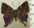  ( - RCB04562)  @11 [ ] by-nc-sa (2025) Robert C. Busby Robert C. Busby