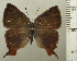  ( - RCB04565)  @11 [ ] by-nc-sa (2025) Robert C. Busby Robert C. Busby