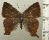  ( - RCB04566)  @11 [ ] by-nc-sa (2025) Robert C. Busby Robert C. Busby