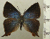  ( - RCB04577)  @11 [ ] by-nc-sa (2025) Robert C. Busby Robert C. Busby