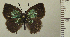  ( - RCB04964)  @11 [ ] by-nc-sa (2024) Robert C. Busby Robert C. Busby
