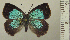 ( - RCB04973)  @11 [ ] by-nc-sa (2024) Robert C. Busby Robert C. Busby
