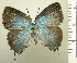  ( - RCB05545)  @11 [ ] by-nc-sa (2024) Robert C. Busby Robert C. Busby