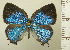  ( - RCB08268)  @11 [ ] by-nc-sa (2025) Robert C. Busby Robert C. Busby
