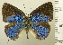  ( - RCB08357)  @11 [ ] by-nc-sa (2025) Robert C. Busby Robert C. Busby