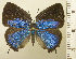  ( - RCB08367)  @11 [ ] by-nc-sa (2025) Robert C. Busby Robert C. Busby