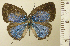  ( - RCB08425)  @11 [ ] by-nc-sa (2025) Robert C. Busby Robert C. Busby