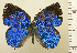 ( - RCB08489)  @11 [ ] by-nc-sa (2025) Robert C. Busby Robert C. Busby