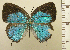  ( - RCB08553)  @11 [ ] by-nc-sa (2025) Robert C. Busby Robert C. Busby