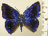  ( - RCB08858)  @11 [ ] by-nc-sa (2025) Robert C. Busby Robert C. Busby