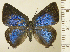  ( - RCB08868)  @11 [ ] by-nc-sa (2025) Robert C. Busby Robert C. Busby