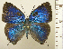  ( - RCB09229)  @11 [ ] by-nc-sa (2024) Robert C. Busby Robert C. Busby