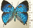  ( - RCB09383)  @11 [ ] by-nc-sa (2024) Robert C. Busby Robert C. Busby