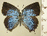  ( - RCB14424)  @11 [ ] by-nc-sa (2025) Robert C. Busby Robert C. Busby