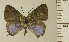  ( - RCB14851)  @11 [ ] by-nc-sa (2022) Robert C. Busby Robert C. Busby