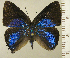  ( - RCB14869)  @11 [ ] by-nc-sa (2022) Robert C. Busby Robert C. Busby