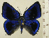  ( - RCB14894)  @11 [ ] by-nc-sa (2025) Robert C. Busby Robert C. Busby