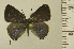  ( - RCB14937)  @11 [ ] by-nc-sa (2022) Robert C. Busby Robert C. Busby