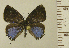  ( - RCB14941)  @11 [ ] by-nc-sa (2022) Robert C. Busby Robert C. Busby