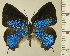  ( - RCB15387)  @11 [ ] by-nc-sa (2025) Robert C. Busby Robert C. Busby