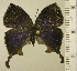  ( - RCB15442)  @11 [ ] by-nc-sa (2024) Robert C. Busby Robert C. Busby