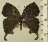  ( - RCB15443)  @11 [ ] by-nc-sa (2024) Robert C. Busby Robert C. Busby