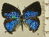  ( - RCB15453)  @11 [ ] by-nc-sa (2025) Robert C. Busby Robert C. Busby