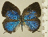  ( - RCB15553)  @11 [ ] by-nc-sa (2025) Robert C. Busby Robert C. Busby