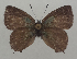  ( - RCB15701)  @11 [ ] by-nc-sa (2024) Robert C. Busby Robert C. Busby