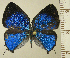  ( - RCB16212)  @11 [ ] by-nc-sa (2025) Robert C. Busby Robert C. Busby